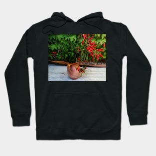 Jar with Peppers. Sicily Hoodie